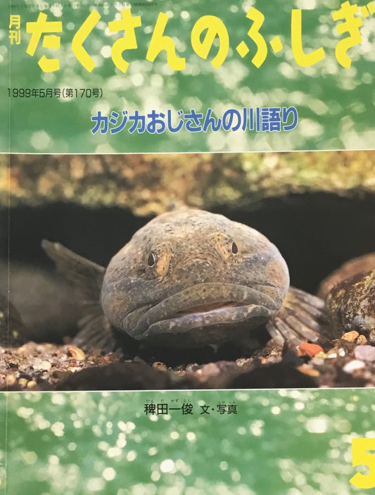 カジカおじさんの川語り たくさんのふしぎ170号