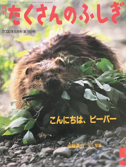 こんにちは、ビーバー たくさんのふしぎ182号