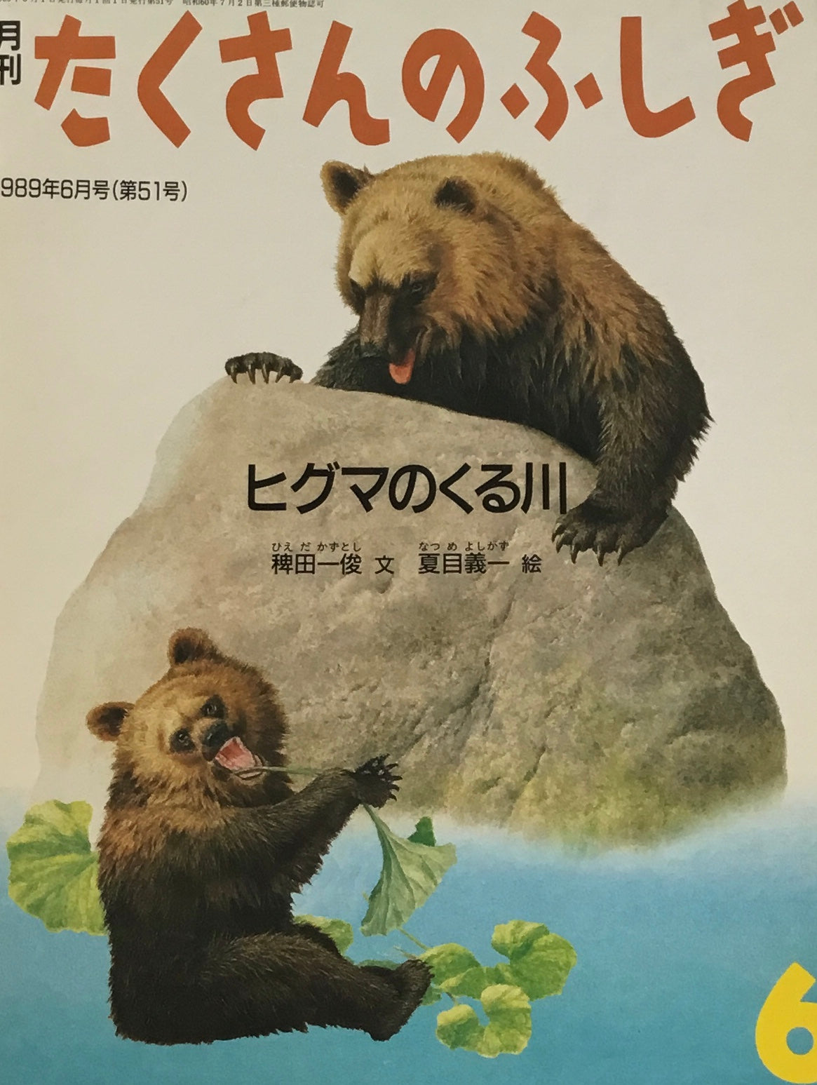 ヒグマのくる川 たくさんのふしぎ51号  1989年6月号