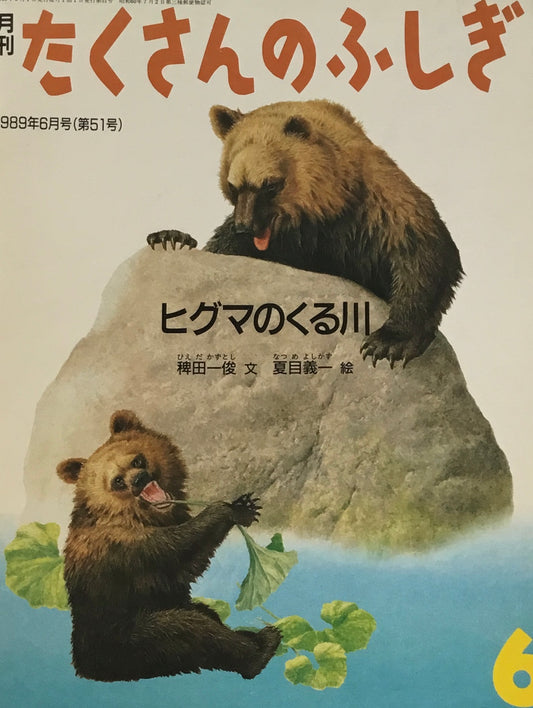 ヒグマのくる川 たくさんのふしぎ51号  1989年6月号