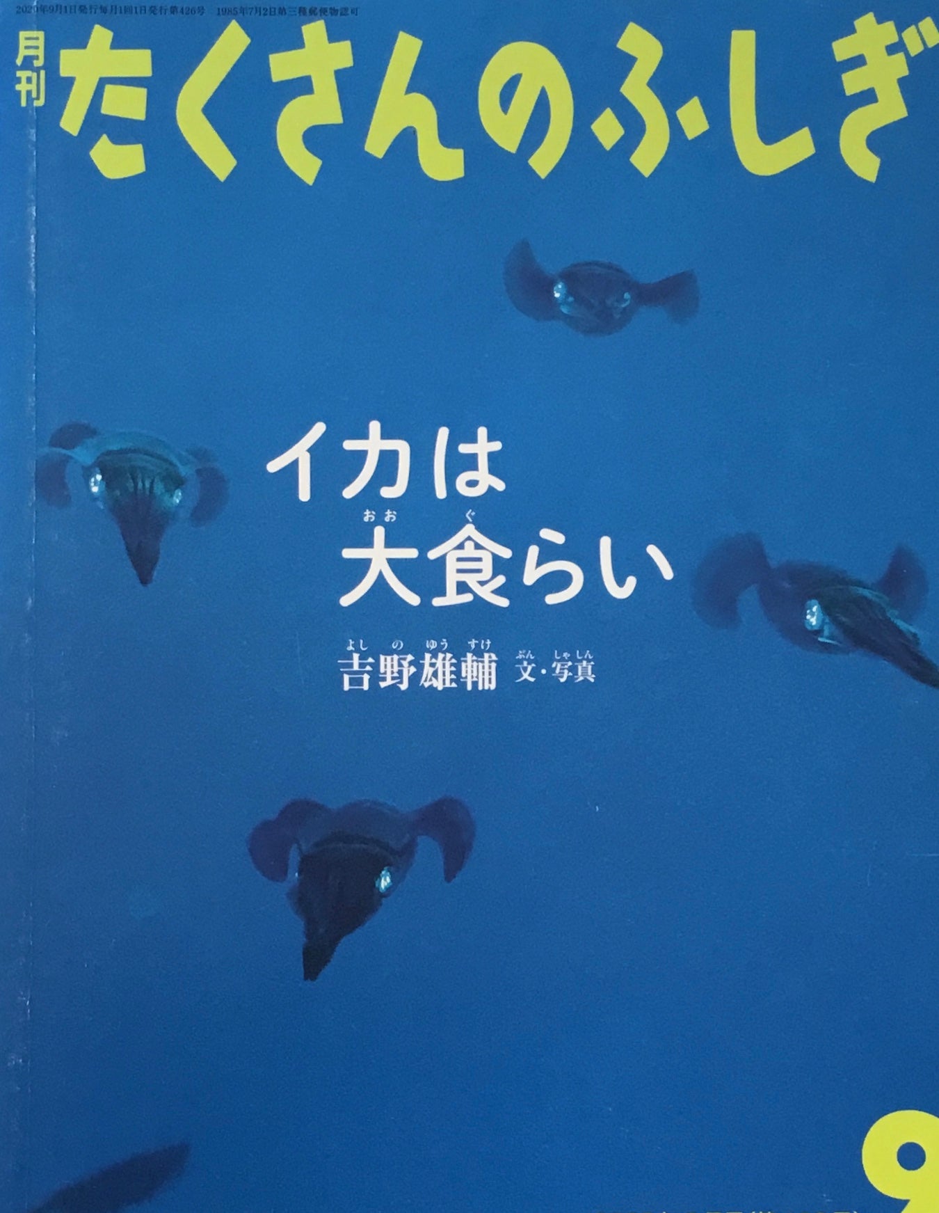 イカは大食らい たくさんのふしぎ426号 2020年9月号