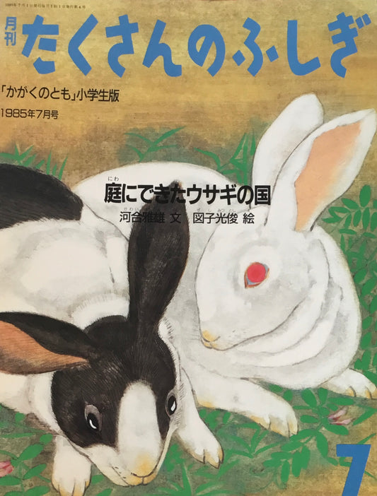 庭にできたウサギの国 たくさんのふしぎ4号 1985年7月号