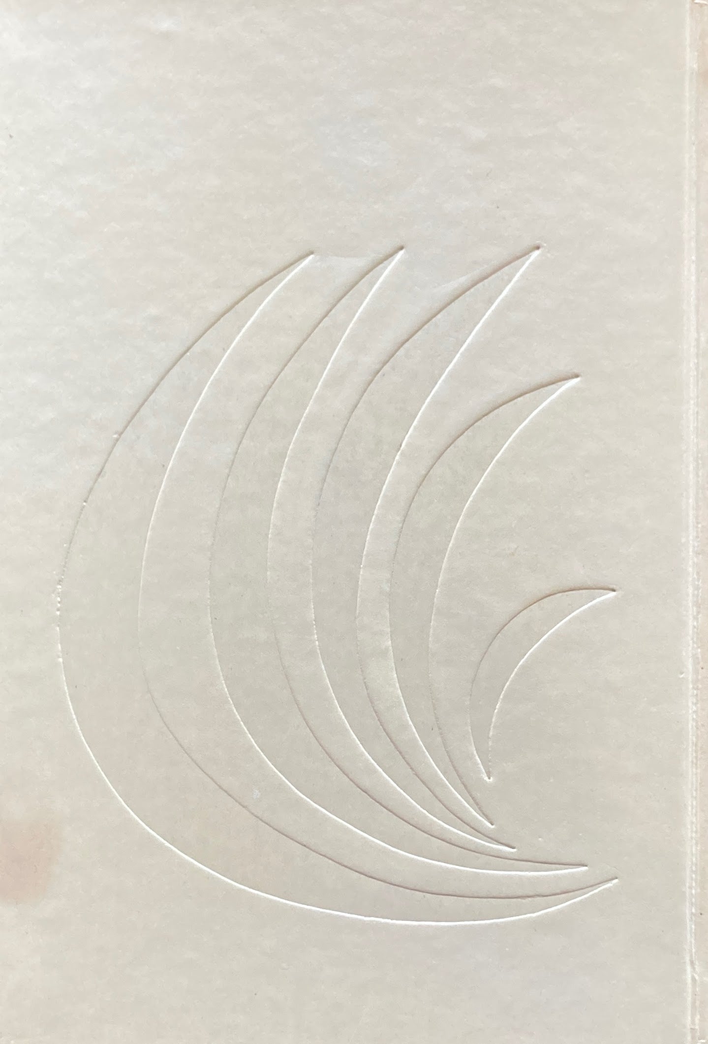 岬の日 柴田白葉女句集 女性俳句会