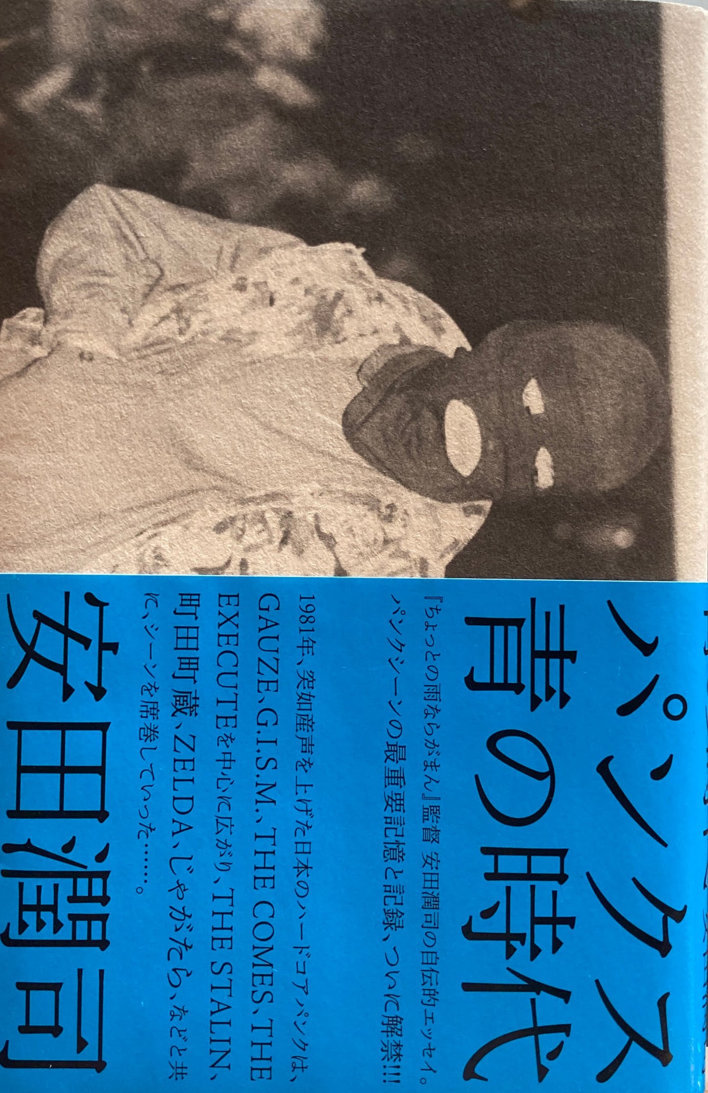 パンクス 青の時代 安田潤司