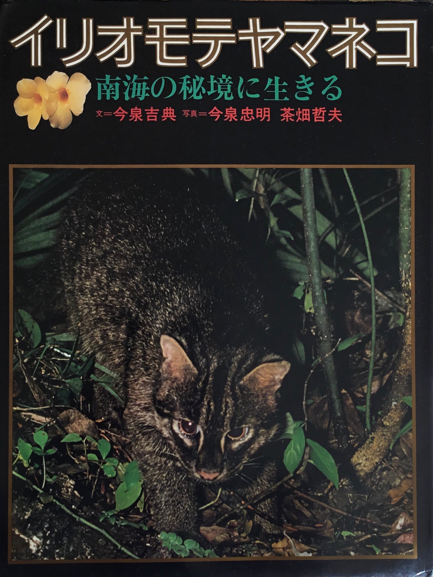 イリオモテヤマネコ 南海の秘境に生きる