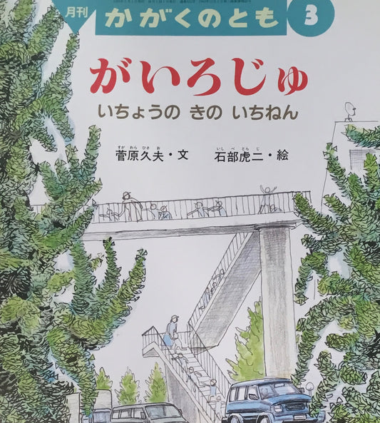 がいろじゅ いちょうのきのいちねん かがくのとも312号 1995年3月号
