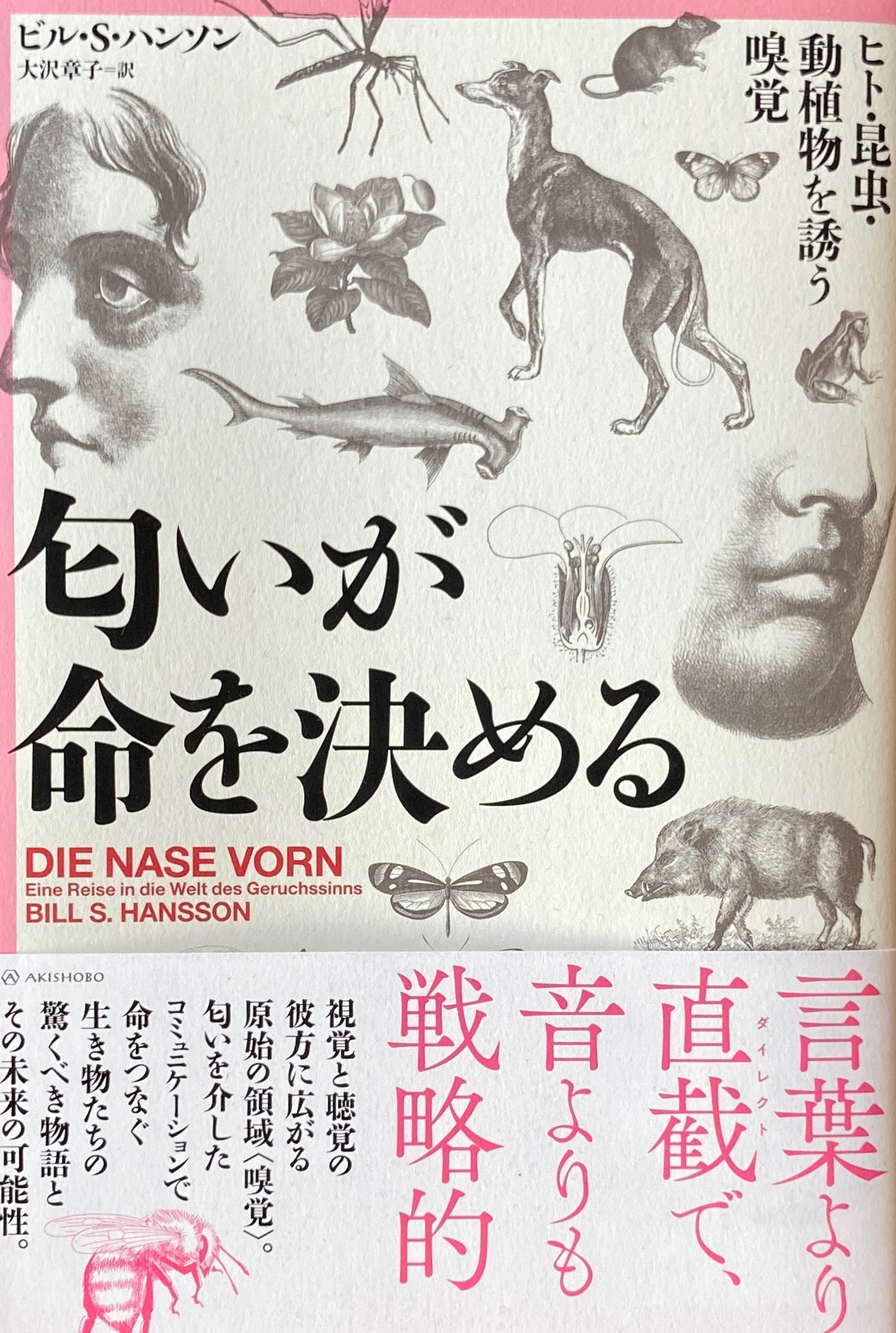 匂いが命を決める ヒト・昆虫・動植物を誘う嗅覚 ビル・S・ハンソン