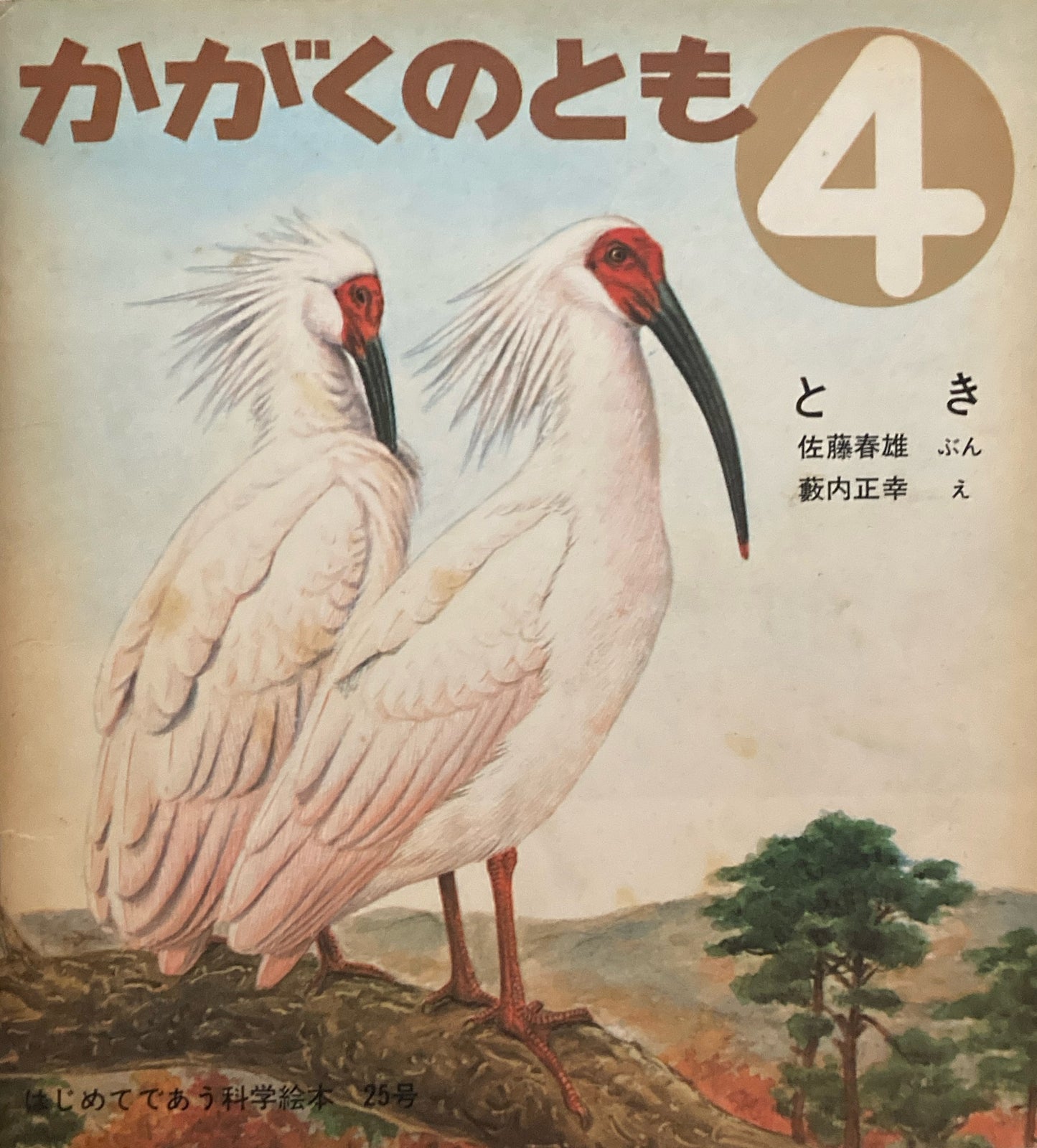 とき 藪内正幸 かがくのとも25号 1971年4月号