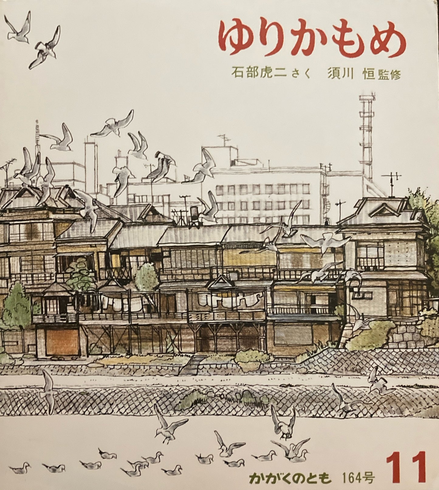 ゆりかもめ 石部虎二 かがくのとも164号 1982年11月号