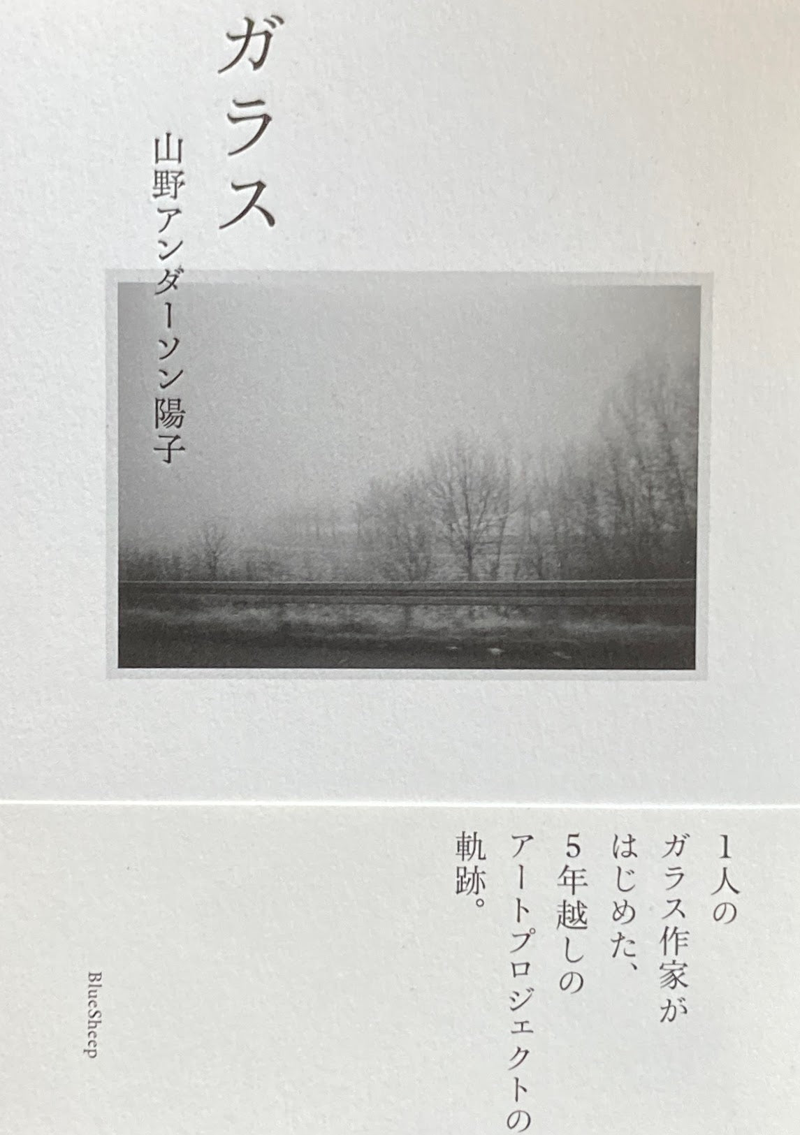 ガラス 山野アンダーソン陽子