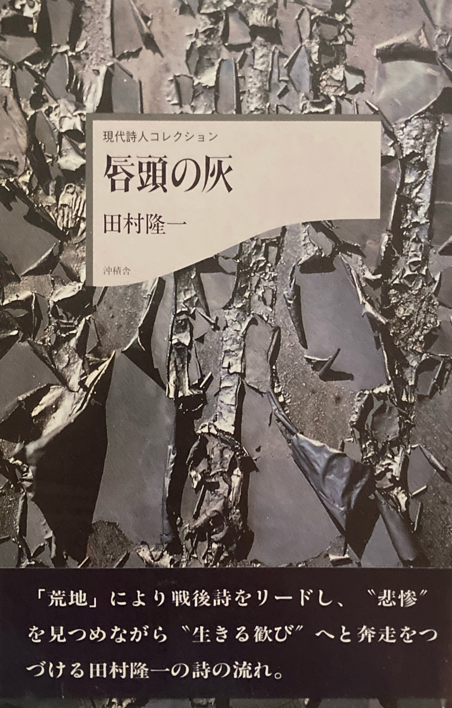 唇頭の灰 田村隆一 現代詩人コレクション