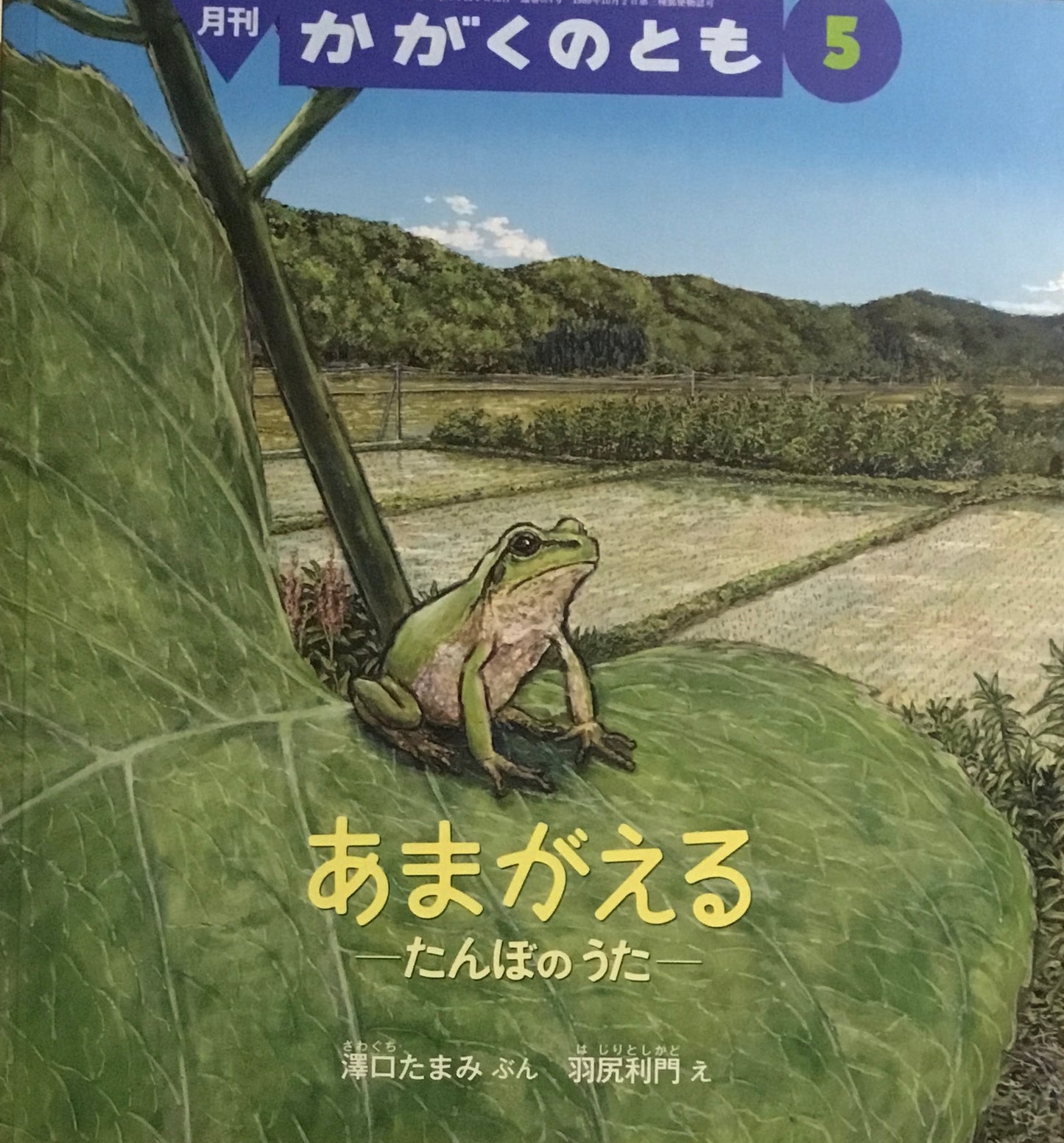あまがえる たんぼのうた かがくのとも674号 2025年5月号