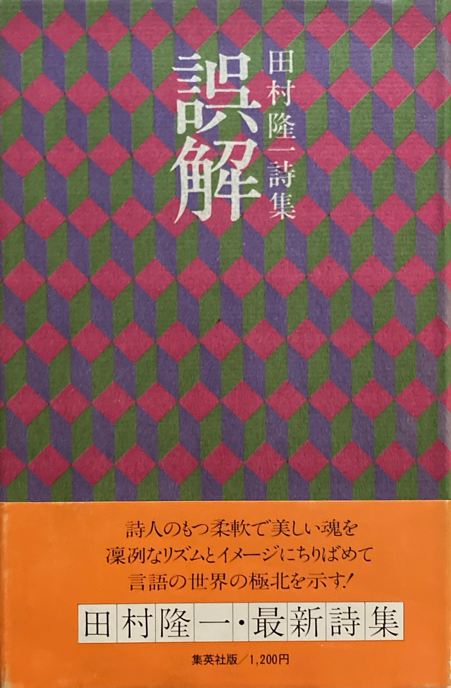 誤解 田村隆一 詩集