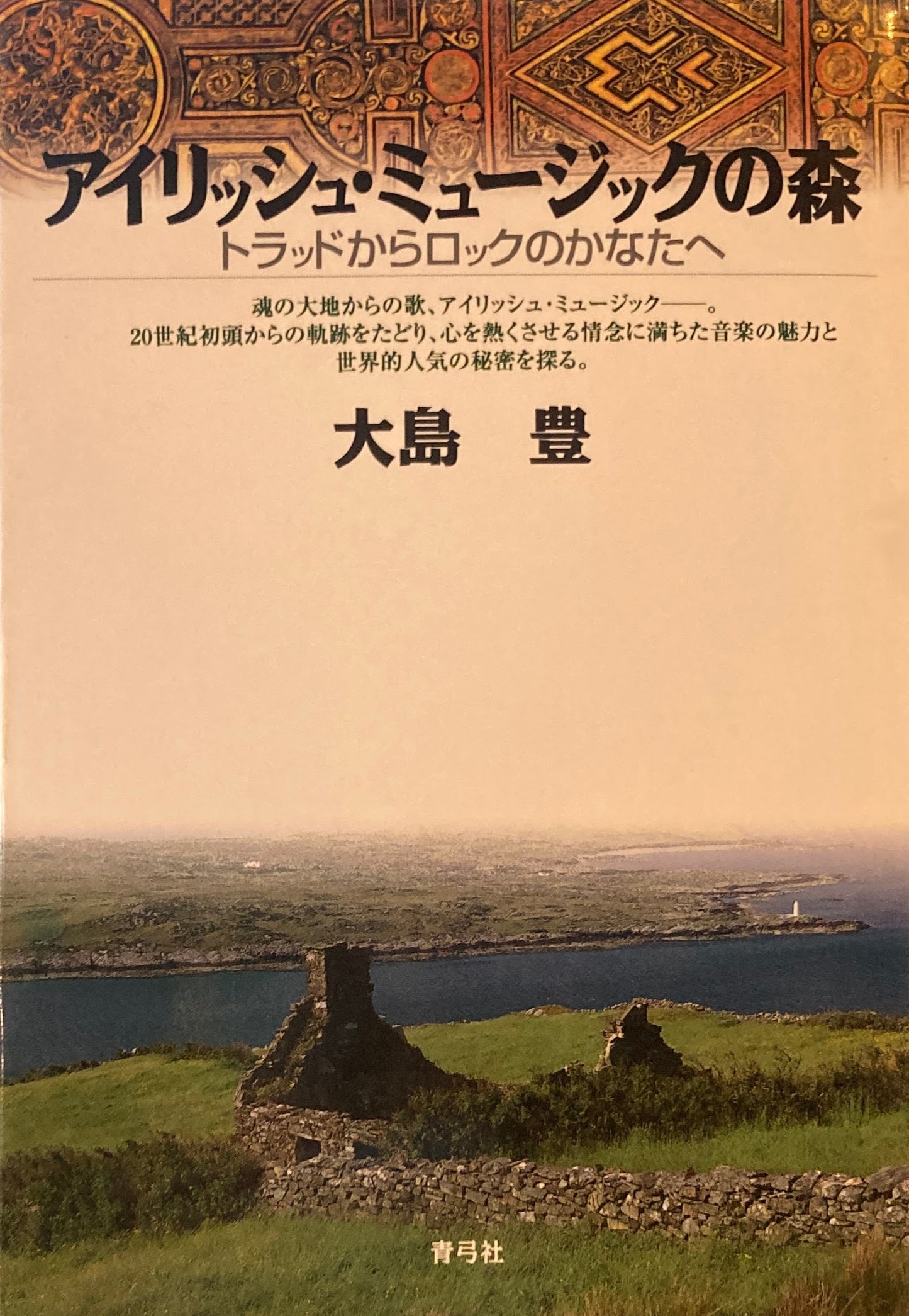 アイリッシュ・ミュージックの森 トラッドからロックのかなたへ 大島豊