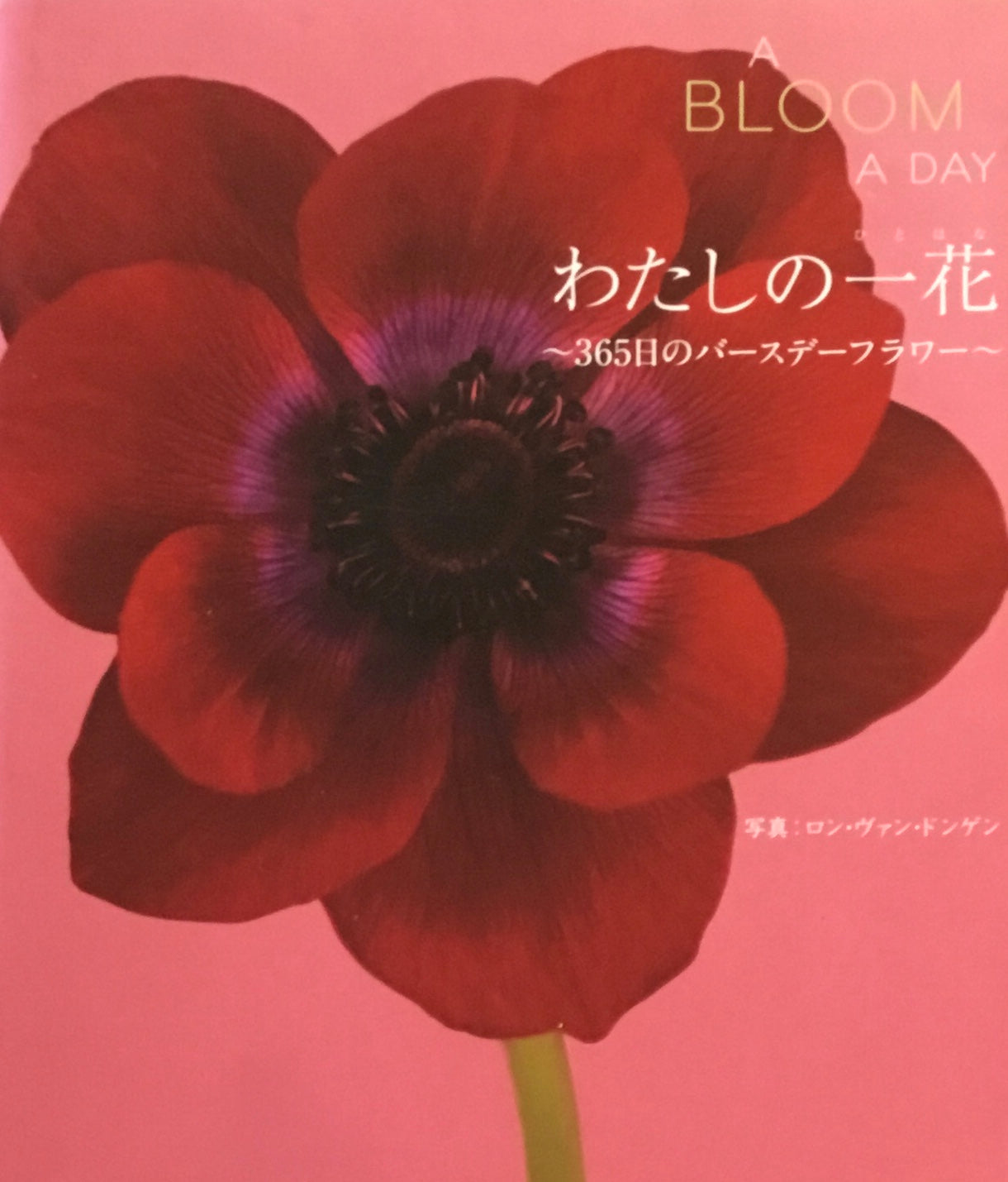 わたしの一花 365日のバースデーフラワー