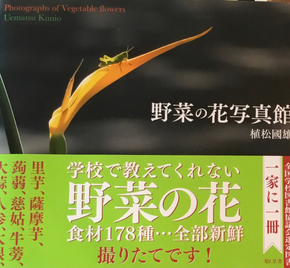 野菜の花写真館 松村國雄