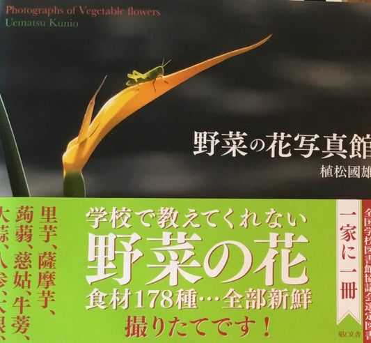 野菜の花写真館 松村國雄