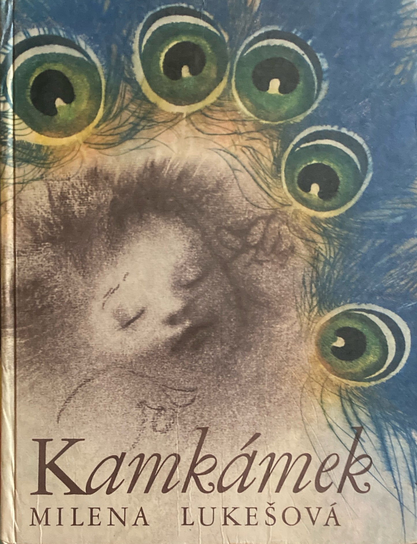 Kamkámek Jitka Walterova イトワ・ワルテロヴァー