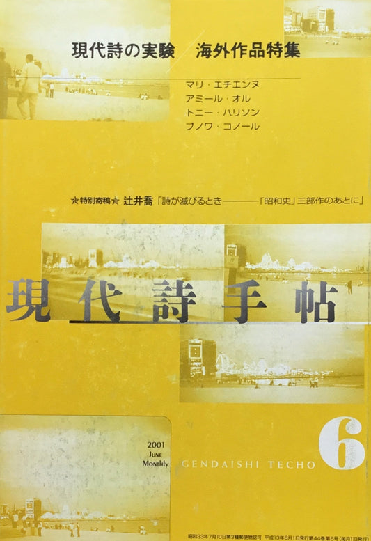 現代詩手帖 2001年6月号 現代詩の実験 海外作品特集
