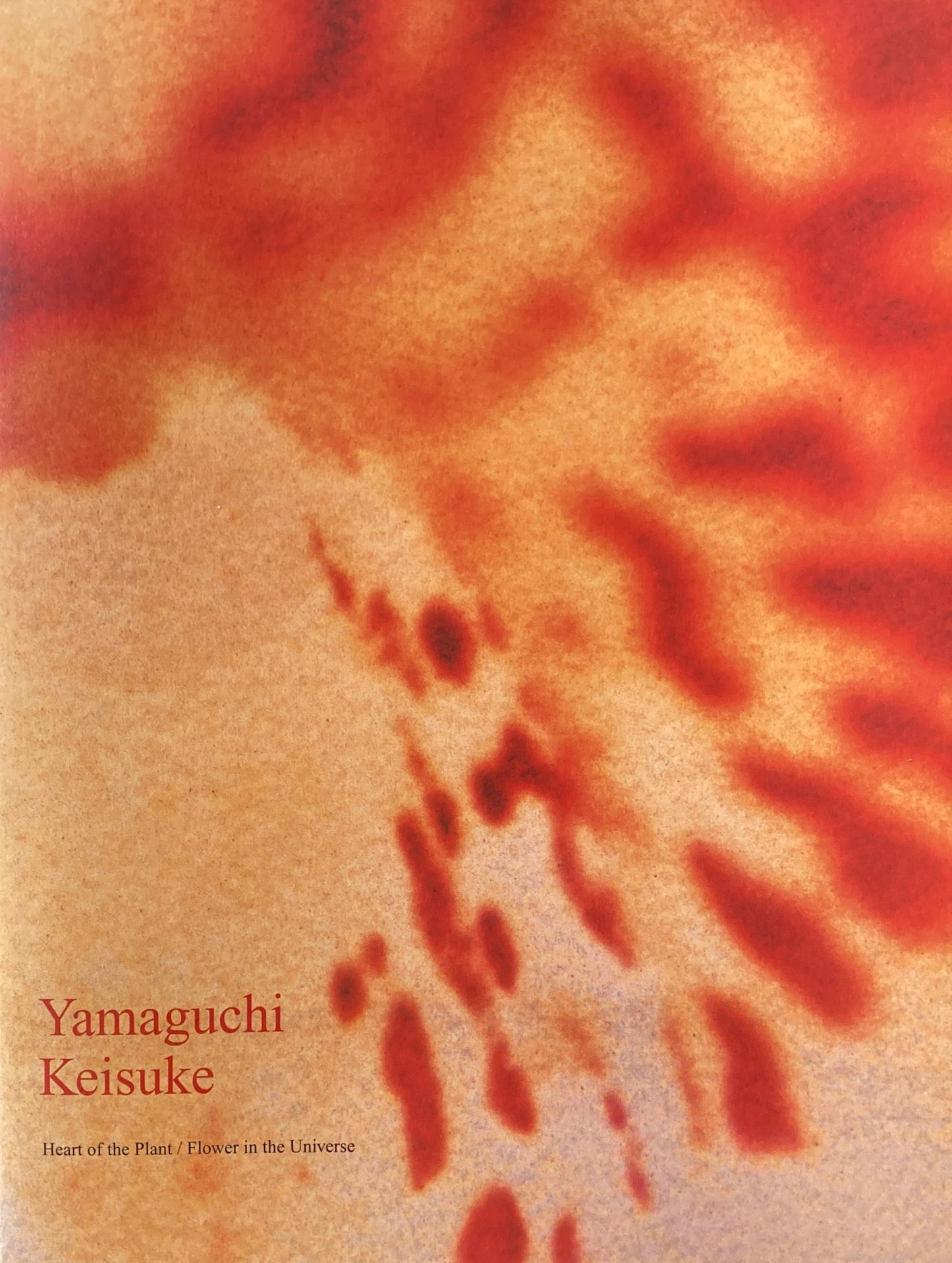 山口啓介 植物の心臓、宇宙の花