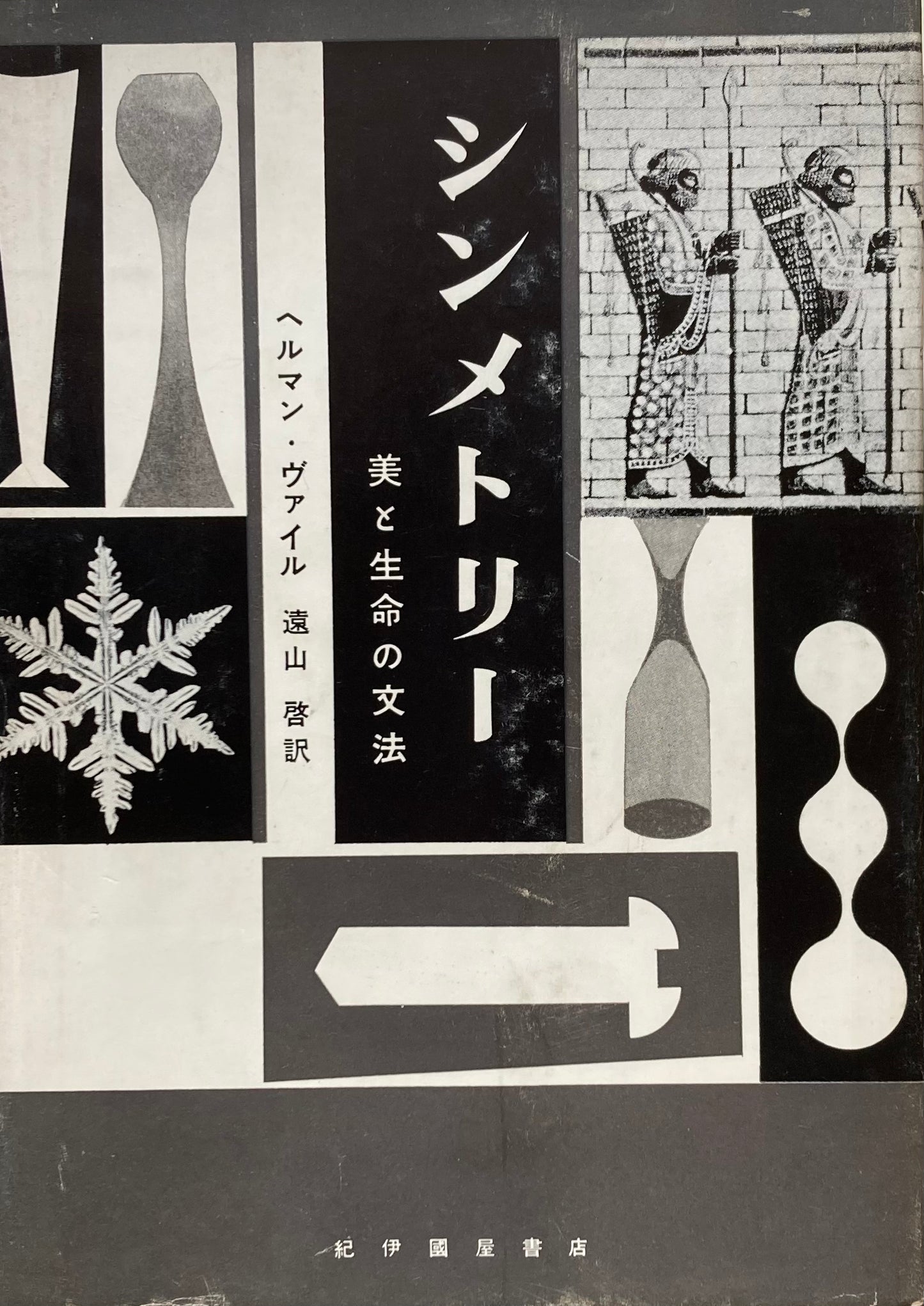 シンメトリー 美と生命の文法 ヘルマン・ヴァイル 遠山啓訳