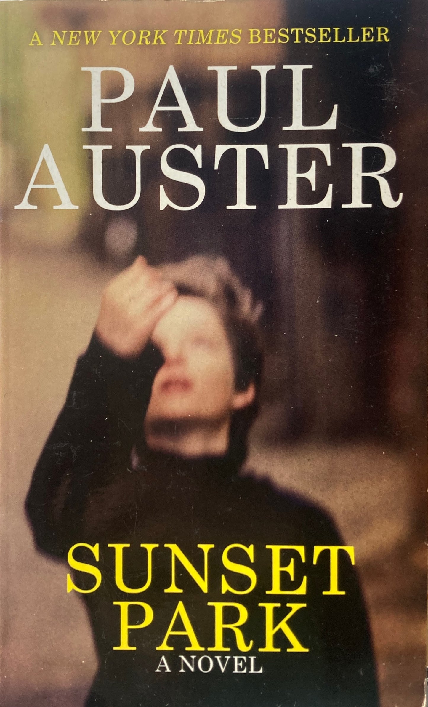Sunset Park Paul Auster ポールオースター