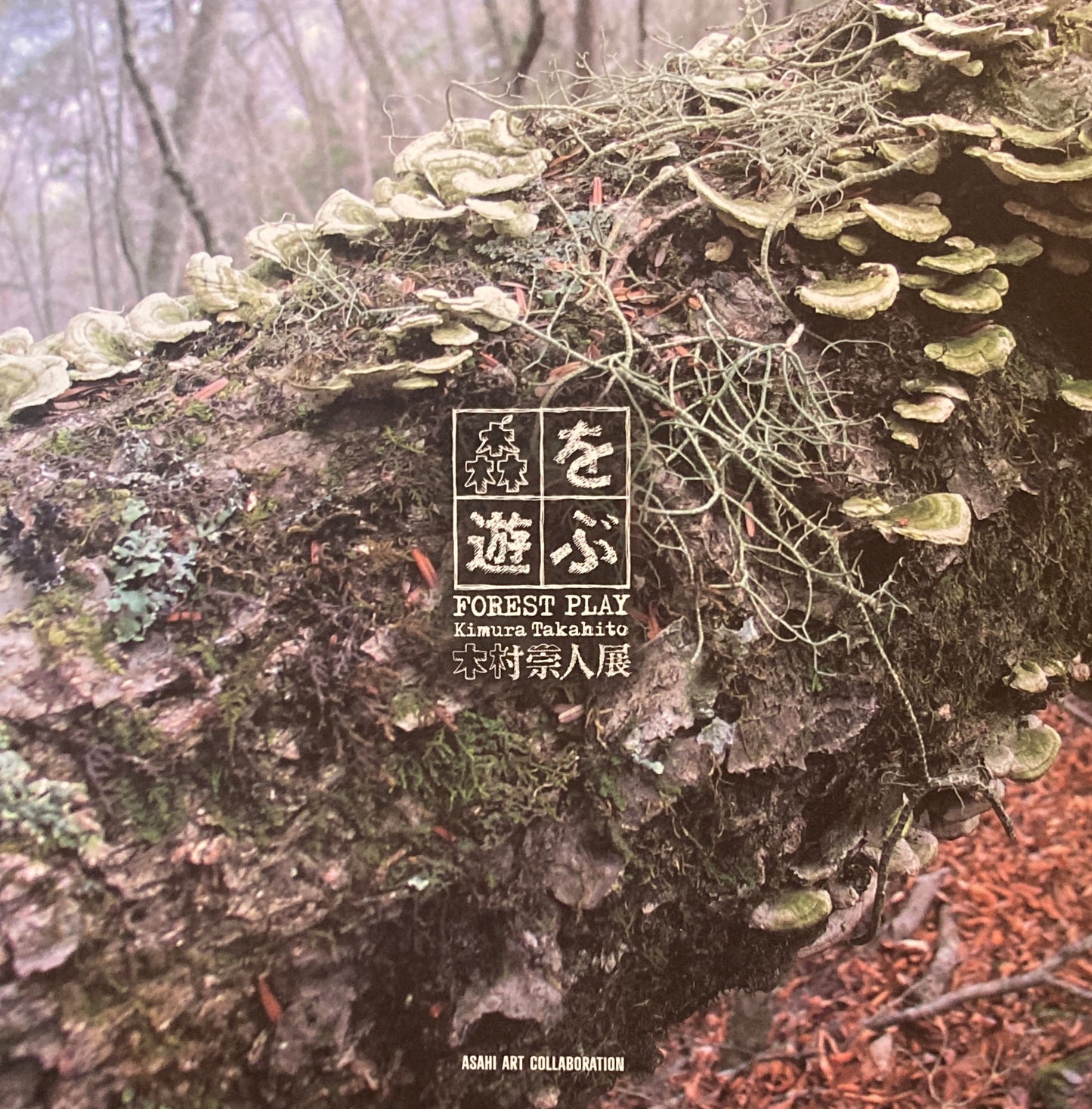 森を遊ぶ 木村崇人展