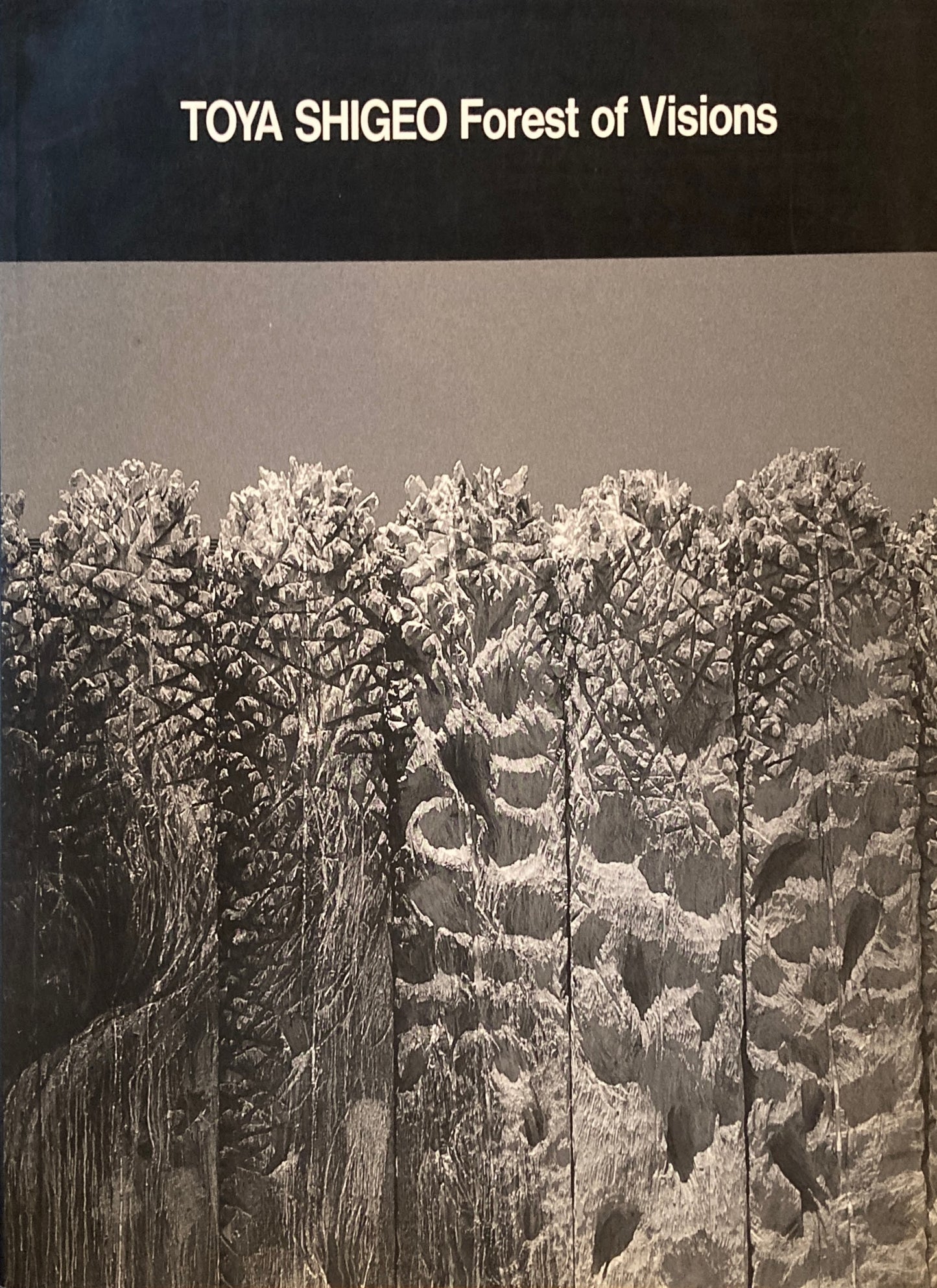 戸谷茂雄展 視線の森 Forest of Visions TOYA SHIGEO