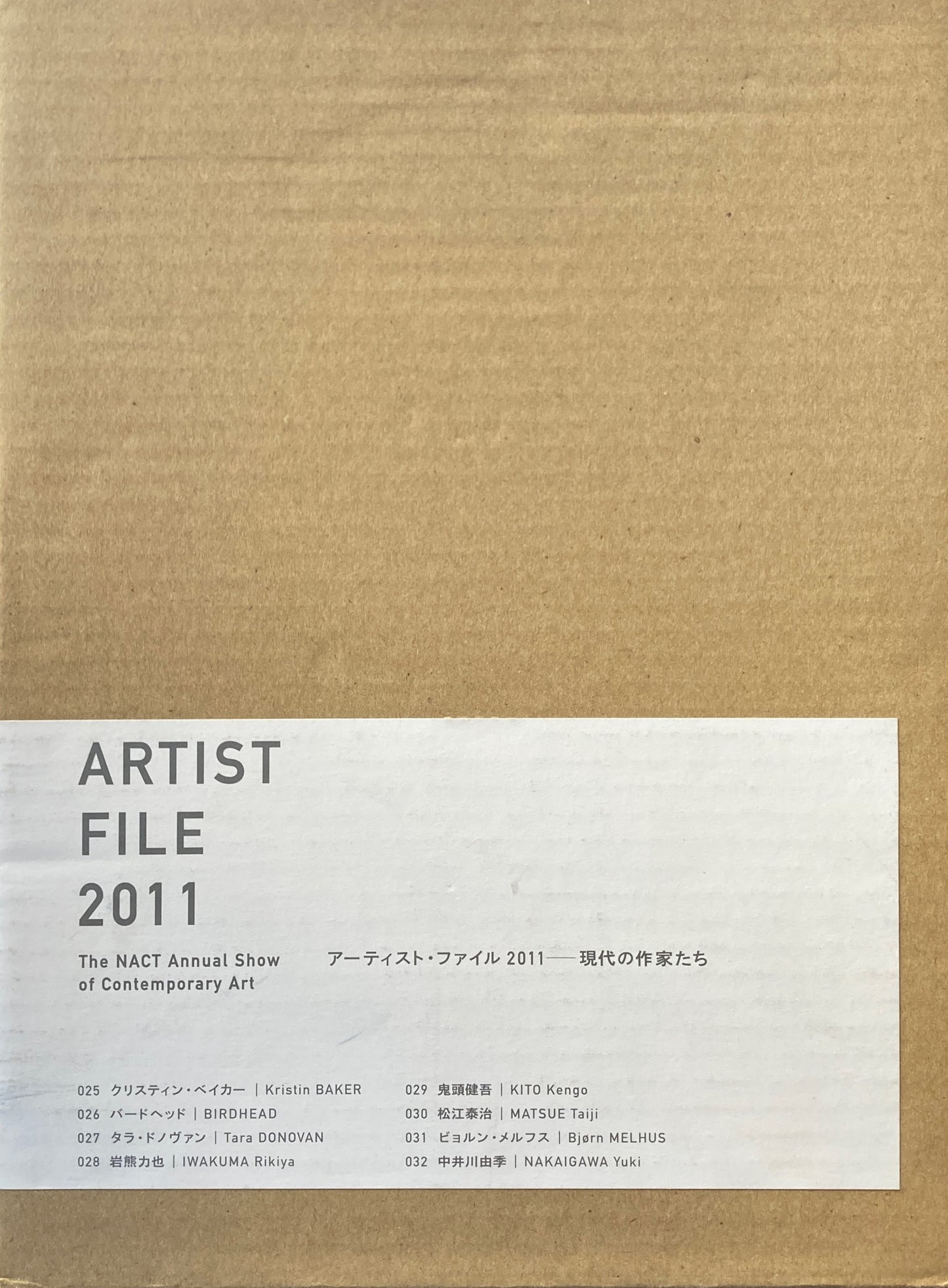 アーティスト・ファイル 2011 現代の作家たち