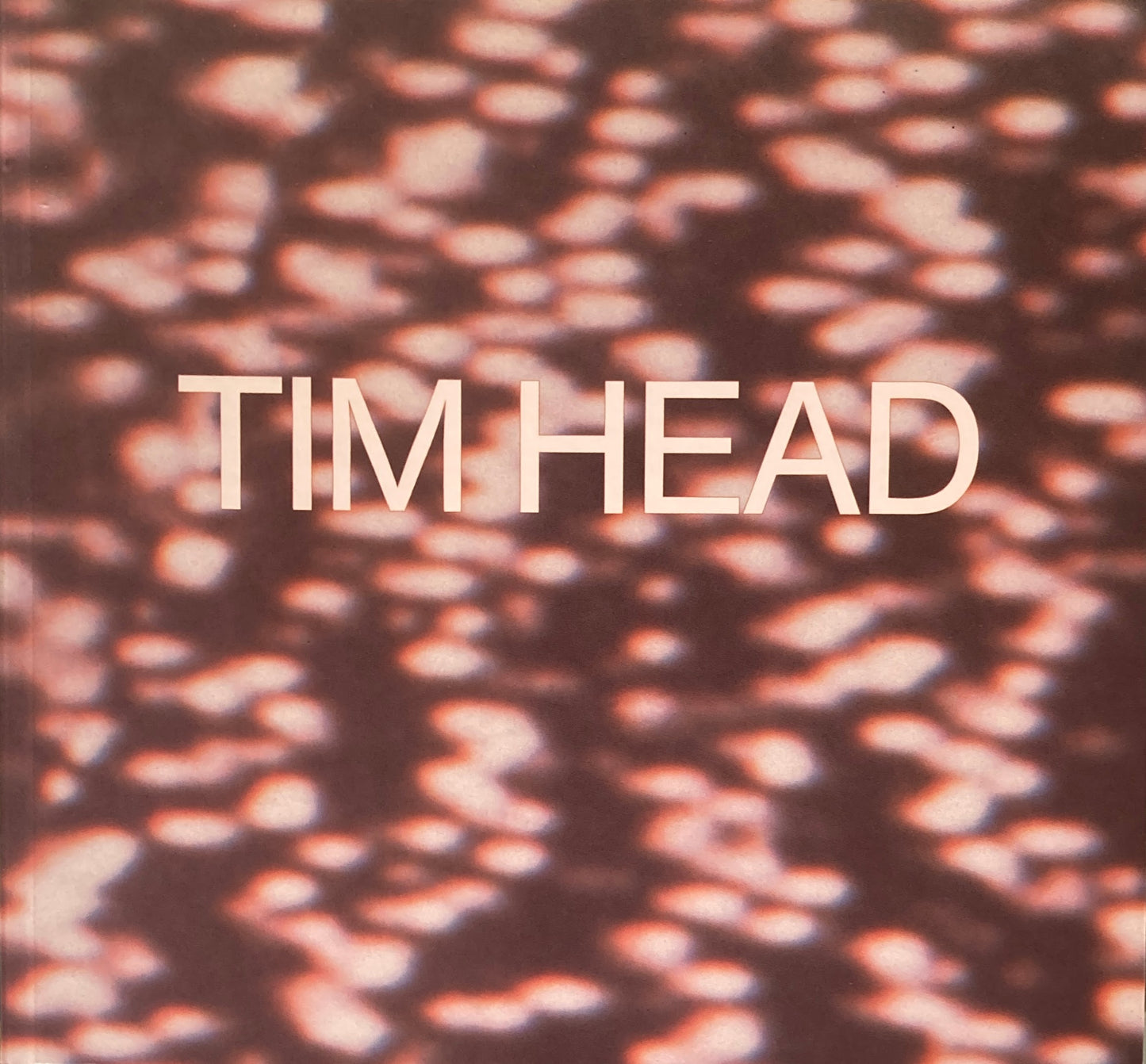 TIM HEAD 1995 ティム・ヘッド