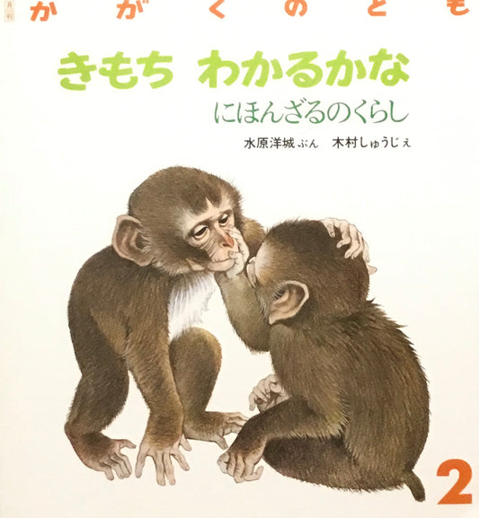 きもちわかるかな にほんざるのくらし かがくのとも227号  1988年2月号