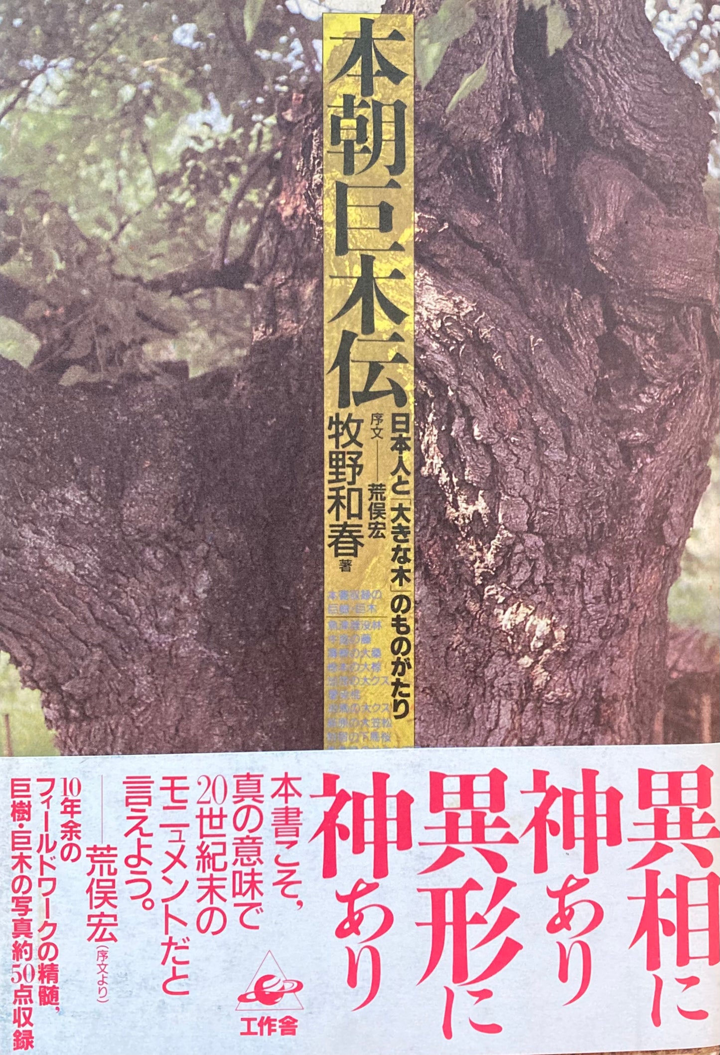 本朝巨木伝 牧野和春