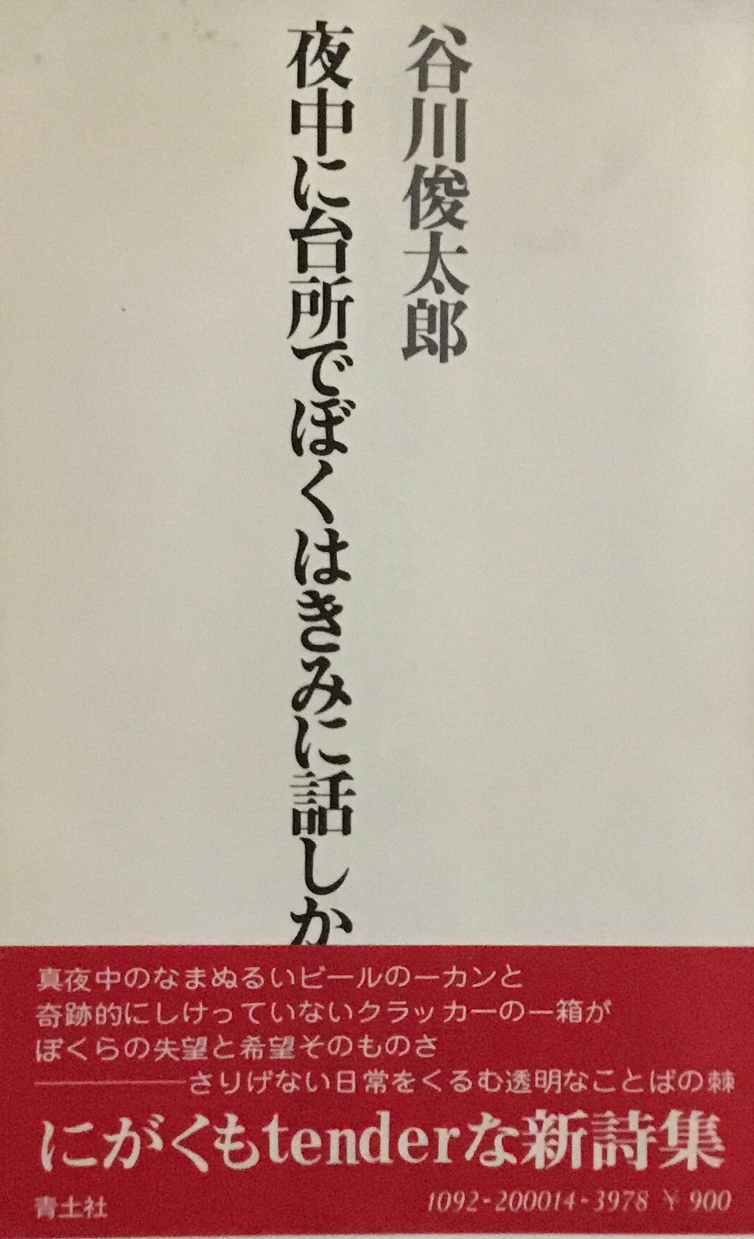 夜中に台所でぼくはきみに話しかけたかった 谷川俊太郎