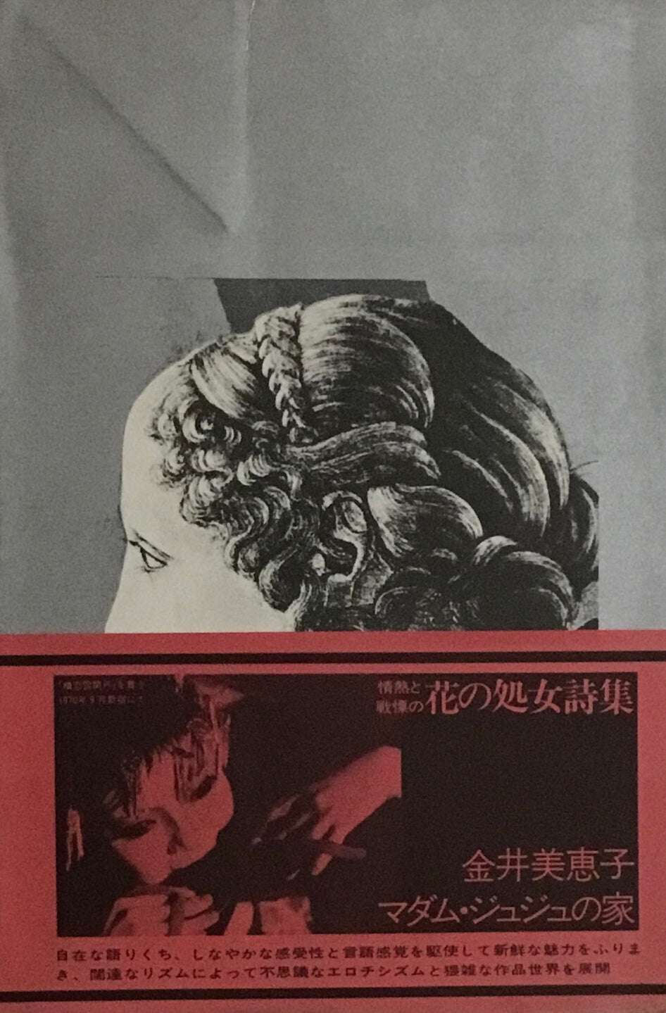 マダム・ジュジュの家 金井美恵子