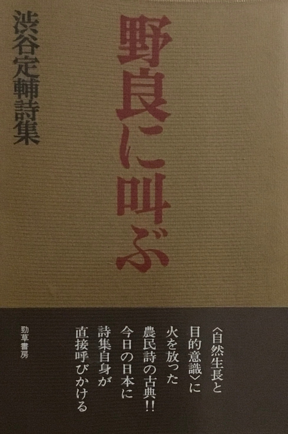 野良に叫ぶ 渋谷定輔 詩集