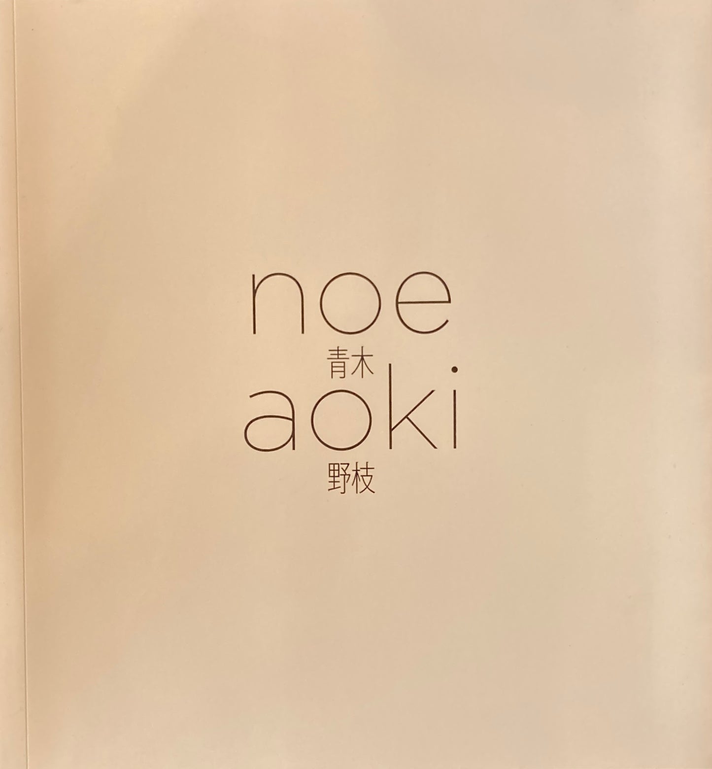 青木野枝 noe aoki 2025
