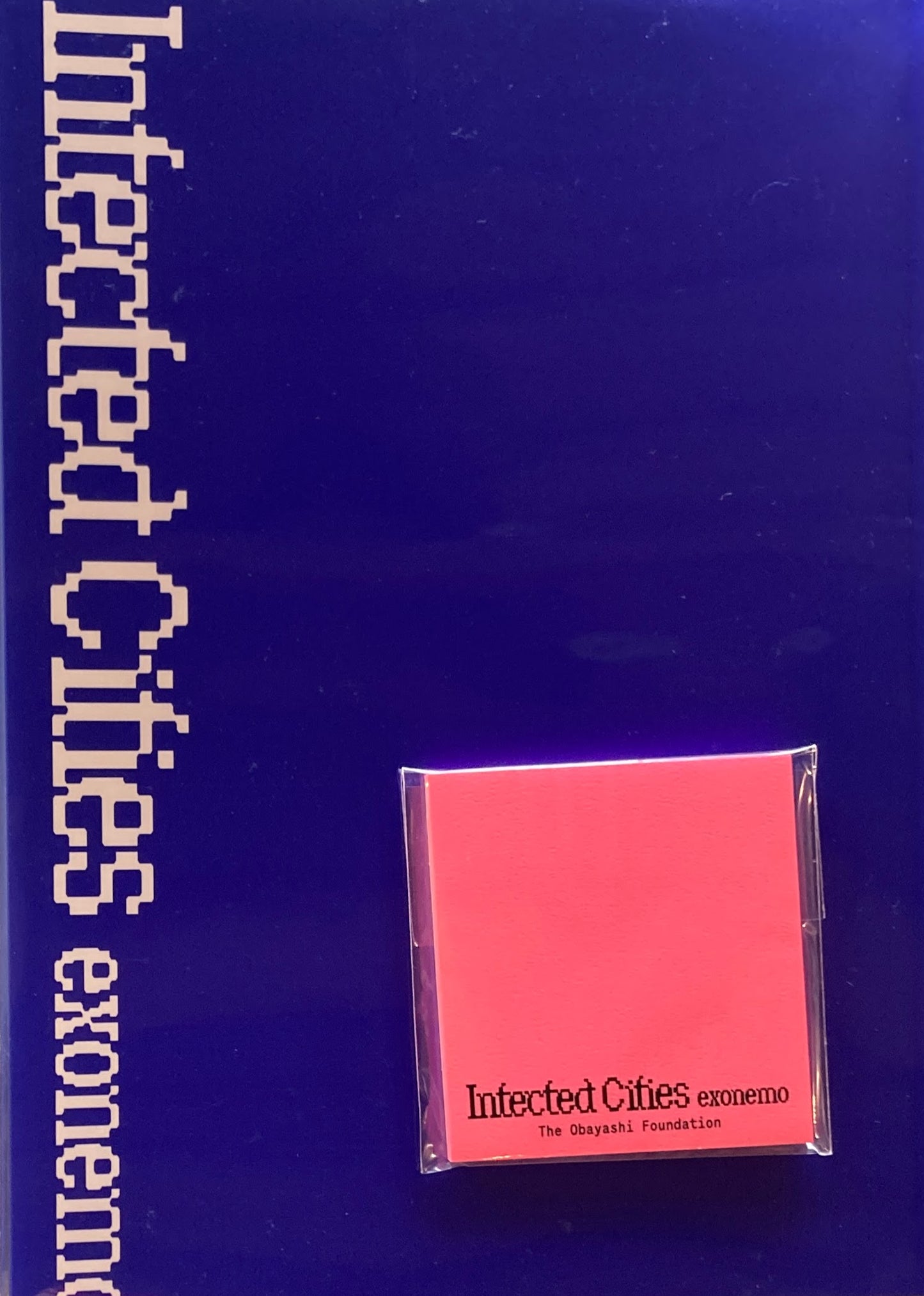 都市のヴィジョン 第3回エキソニモ Infected Cities exonemo