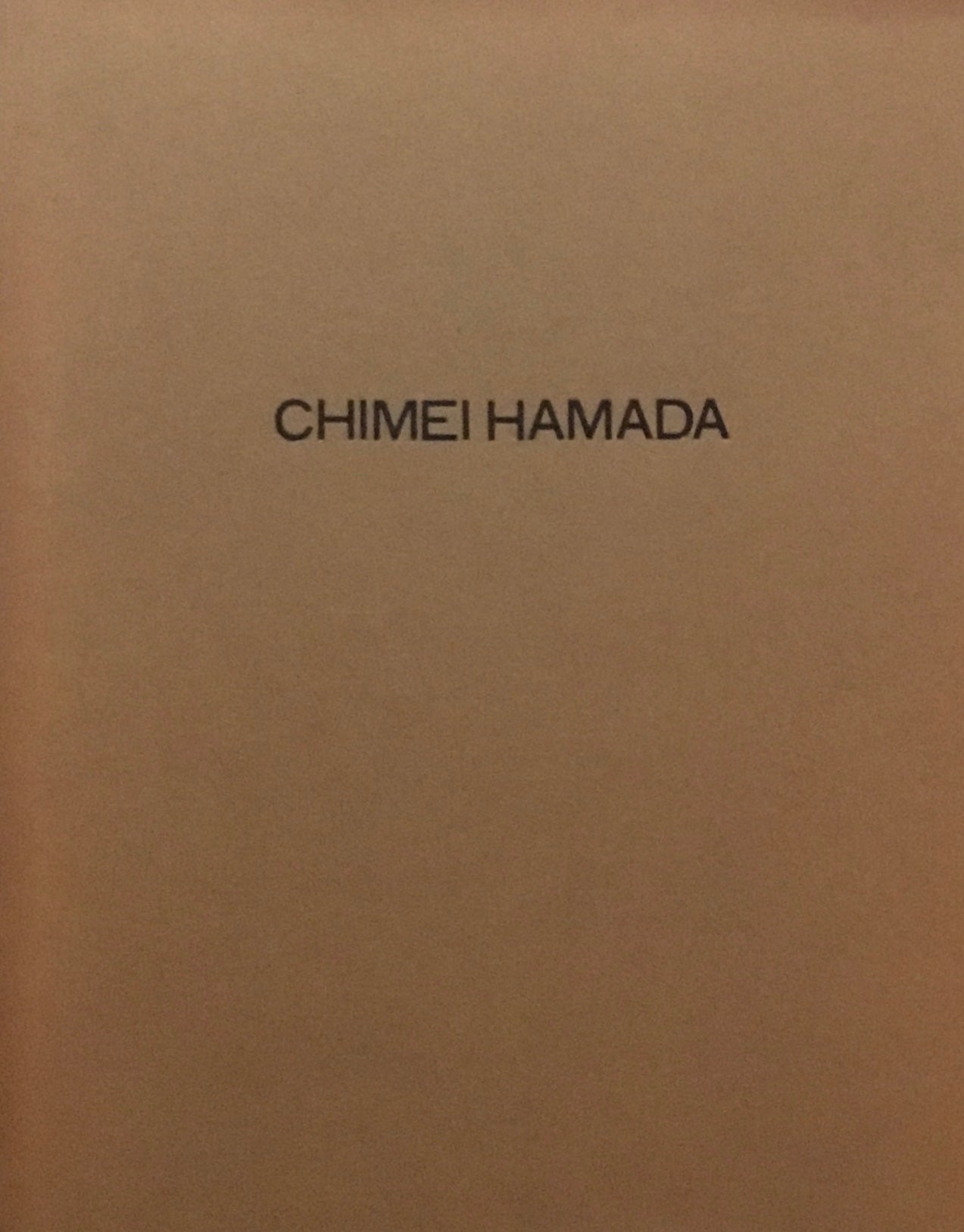 浜田知明の全容 1996
