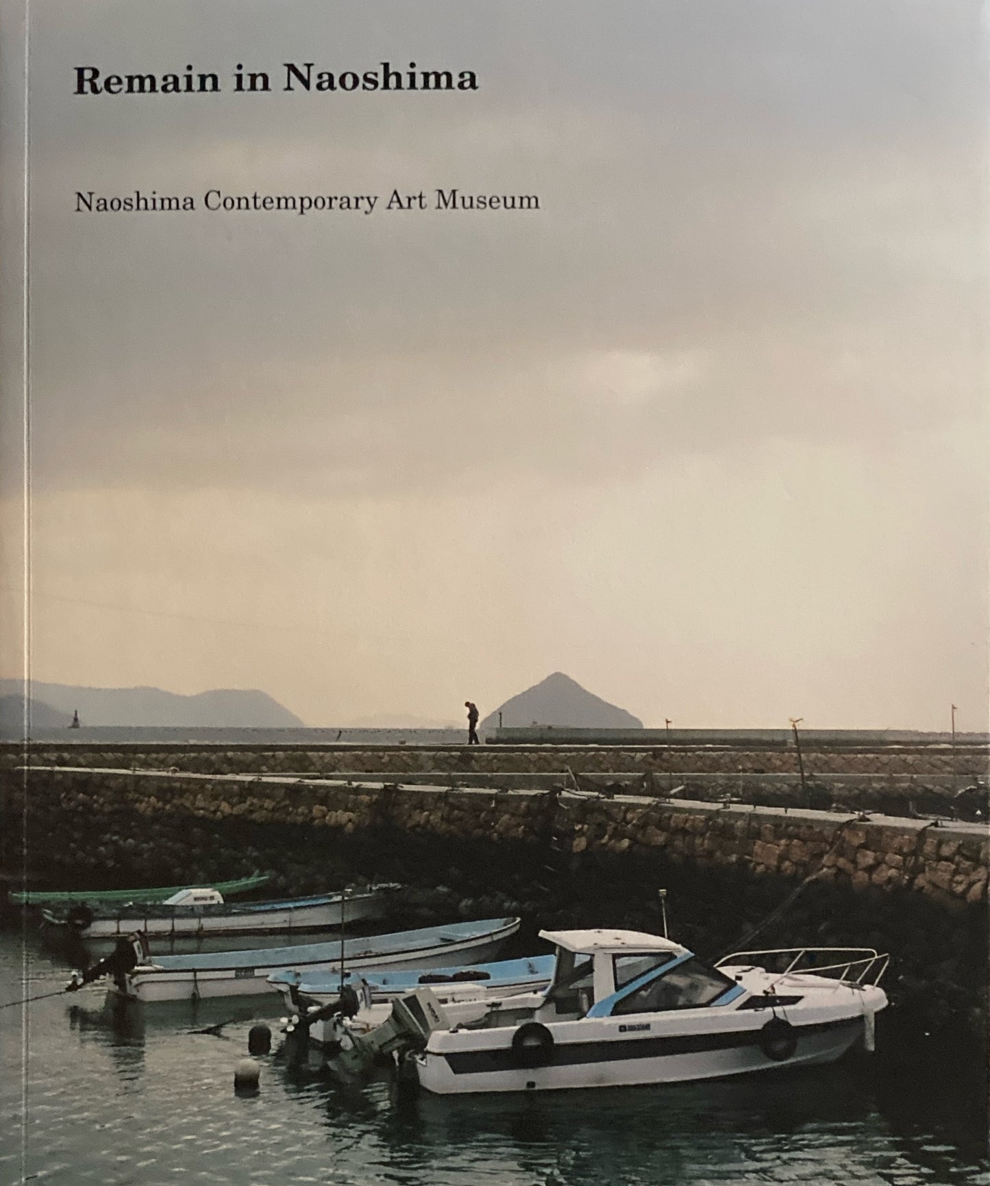 Remain in Naoshima 直島コンテンポラリーアートミュージアムコレクションカタログ