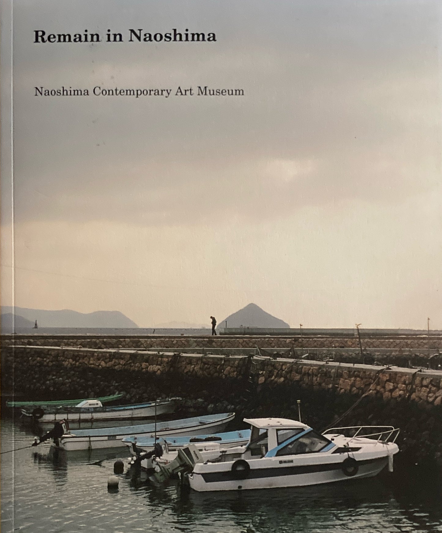 Remain in Naoshima 直島コンテンポラリーアートミュージアムコレクションカタログ