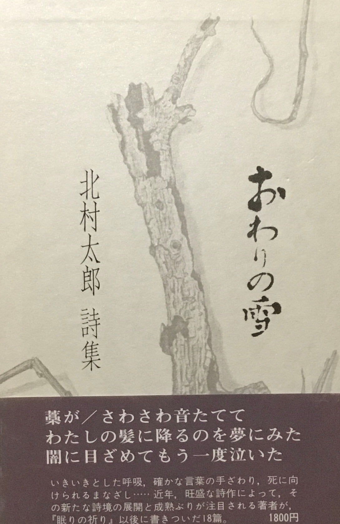 おわりの雪 北村太郎