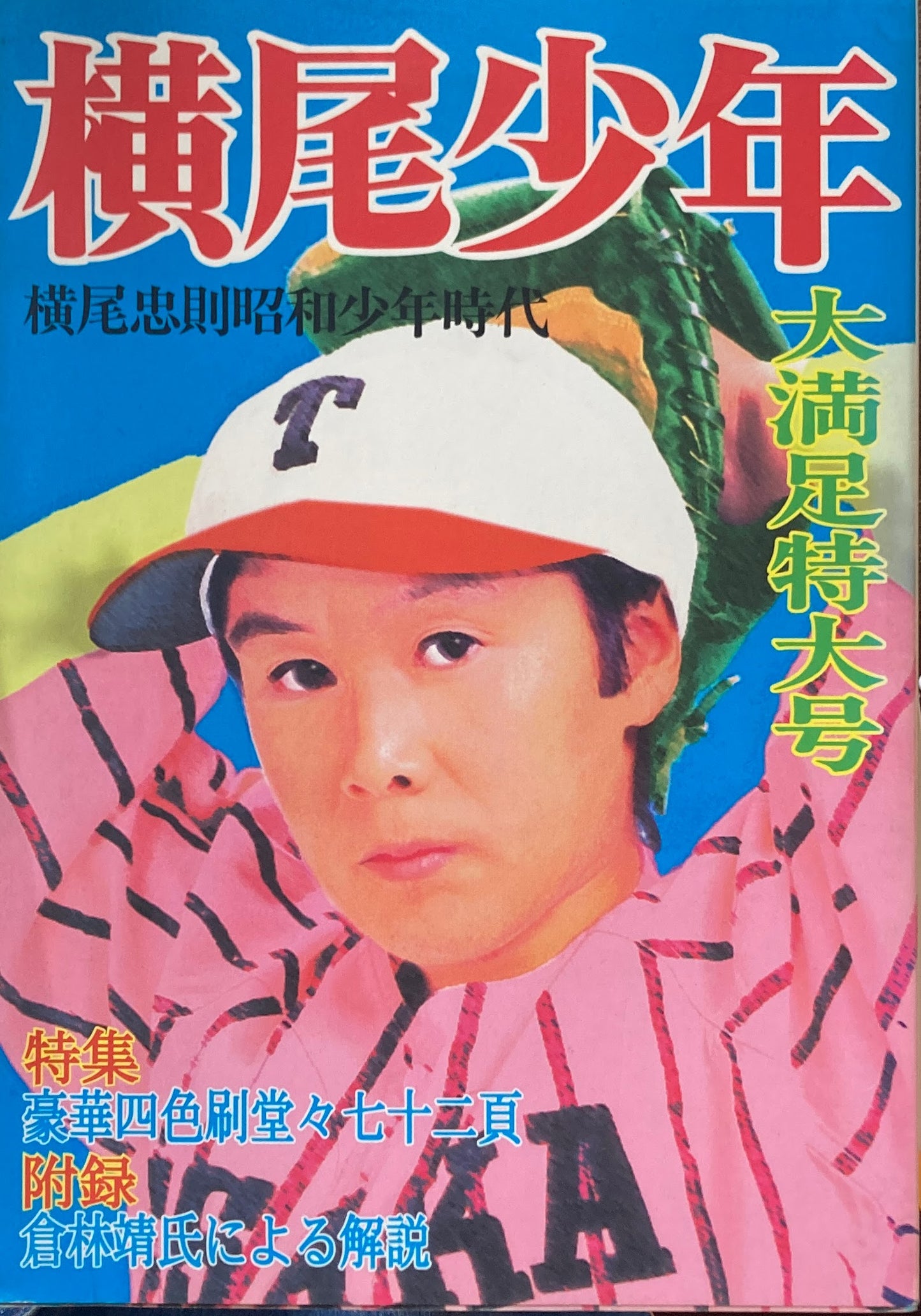 横尾少年 横尾忠則昭和少年時代