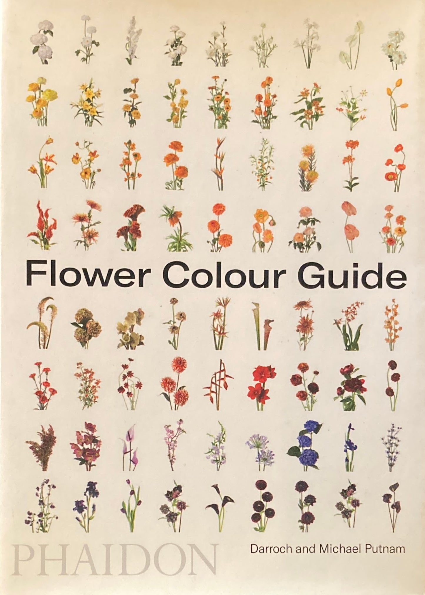 Flower Colour Guide Darroch and Michael Putnam