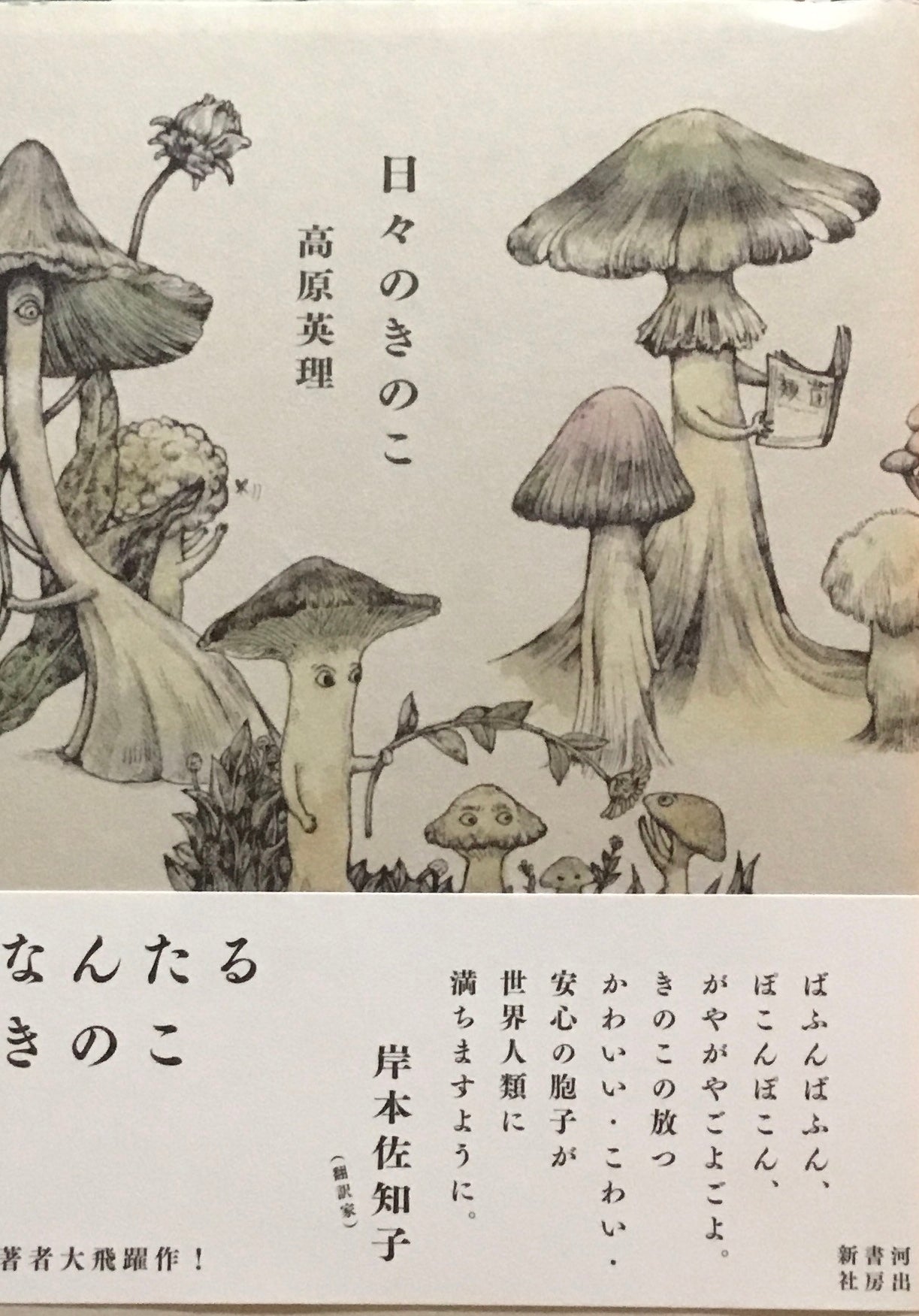 日々のきのこ 高原英理