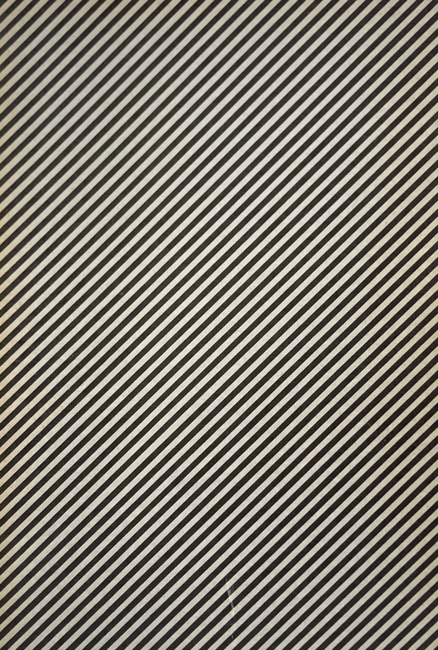 建築の生と死 長谷川堯