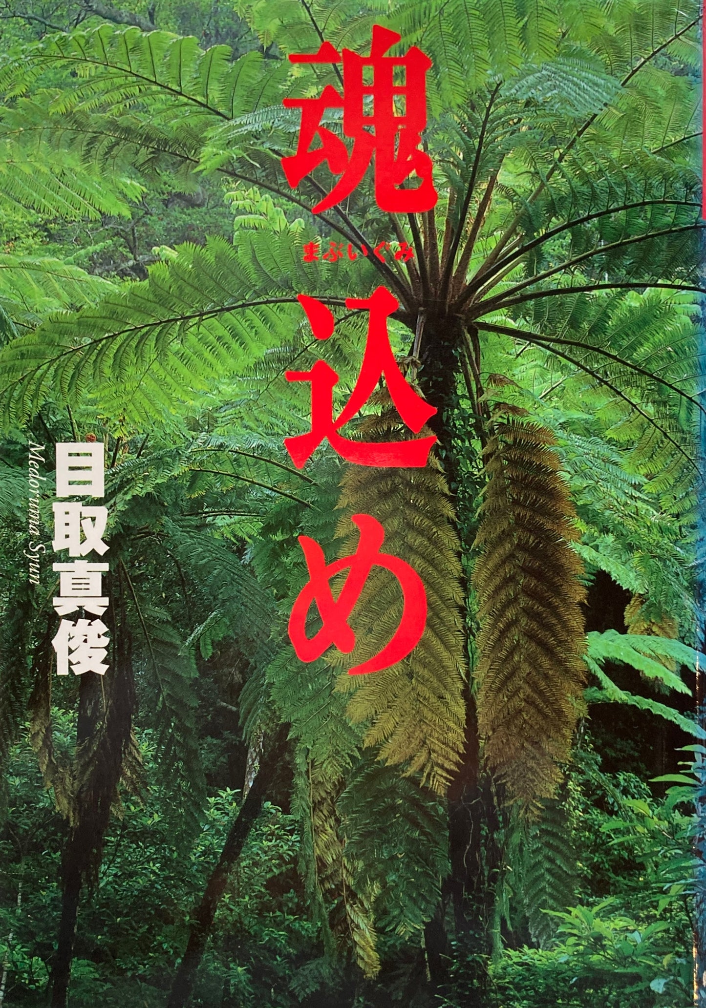 魂込め まぶいぐみ 目取真俊