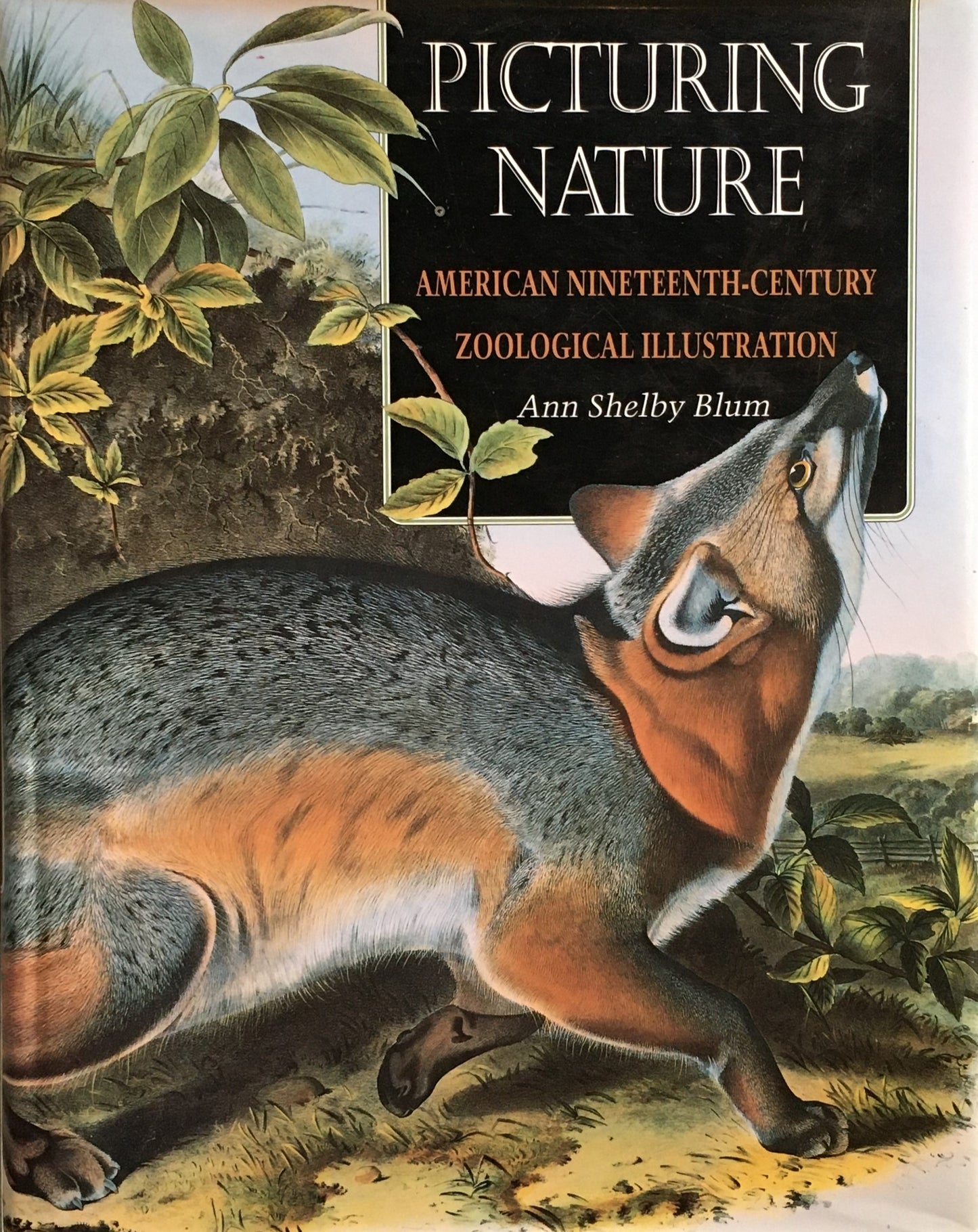 Picturing Nature American Nineteenth-Century Zoological Illustration Ann Shelby Blum