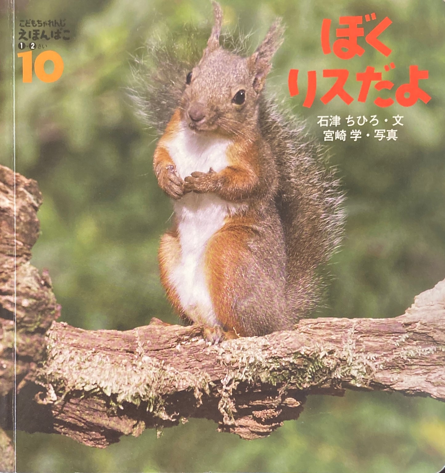 ぼくリスだよ 宮崎学 こどもちゃれんじえほんばこ1・2さい