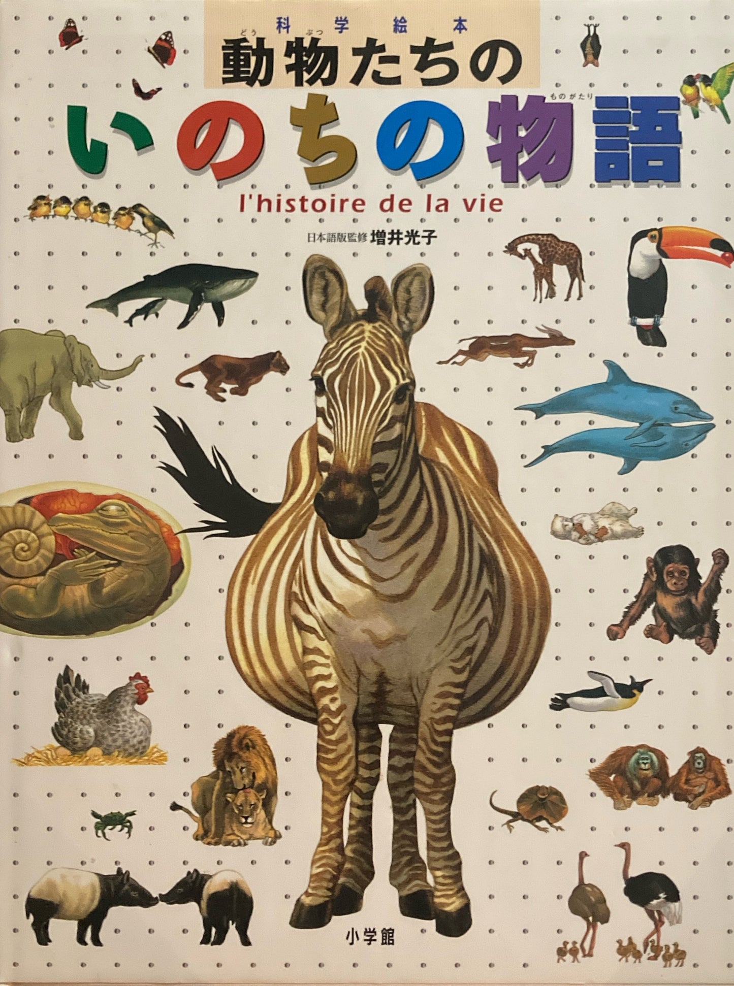 科学絵本 動物たちのいのちの物語 増井光子