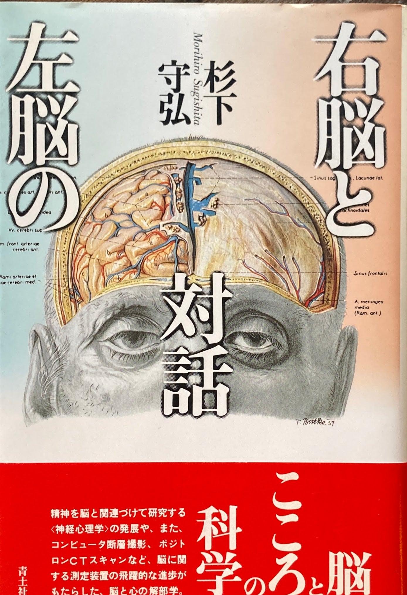 右脳と左脳の対話 杉下守弘